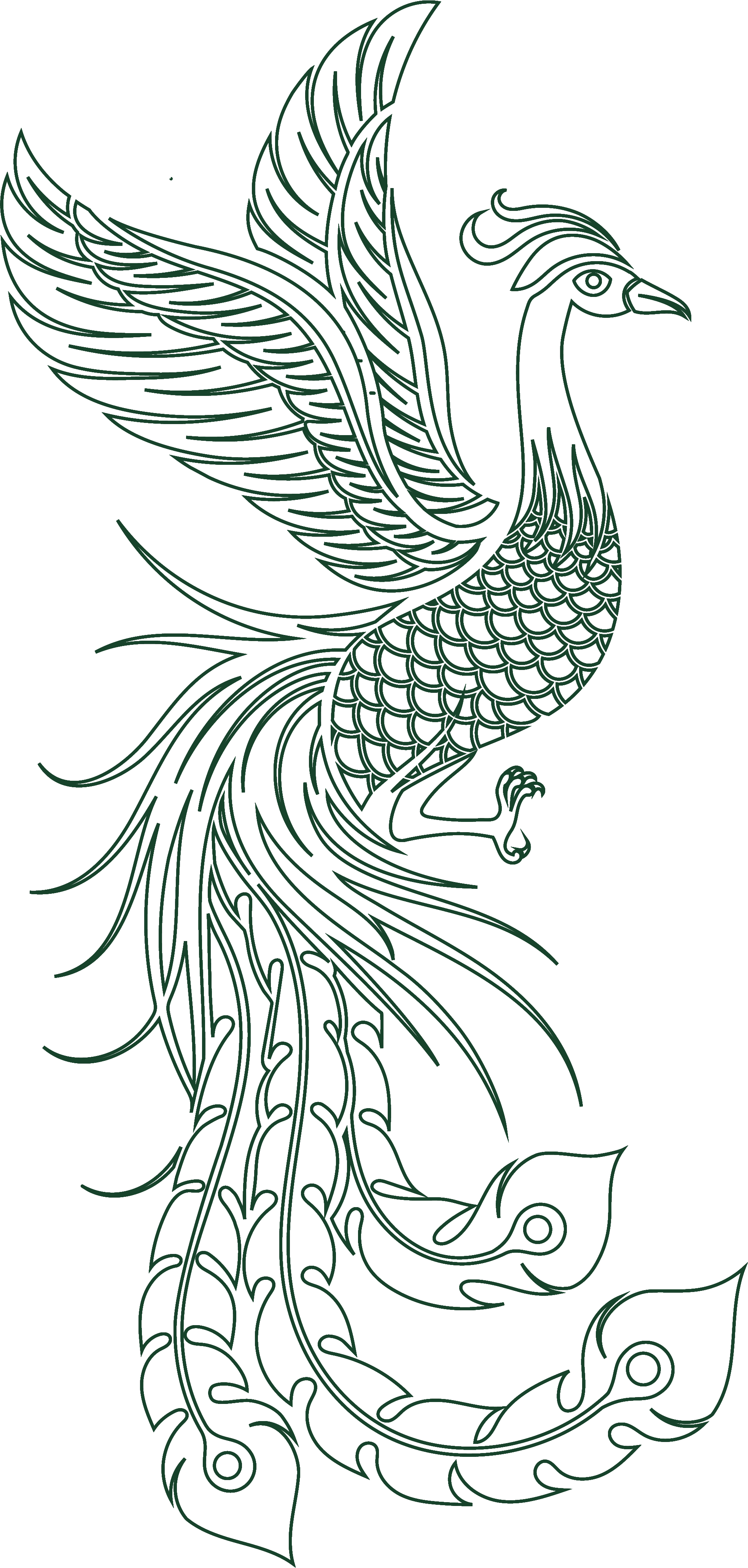 Phoenix Line Decoration